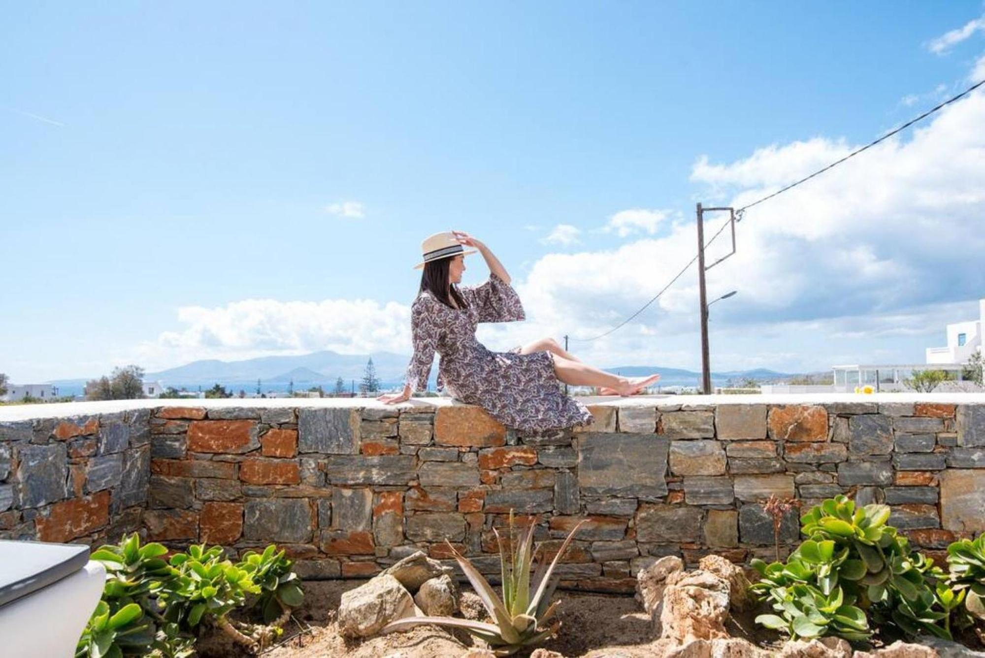 Naxos Agia Anna Sunset View Olive House Apartamento Exterior foto